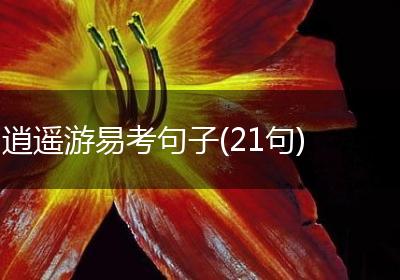 逍遥游易考句子(21句)
