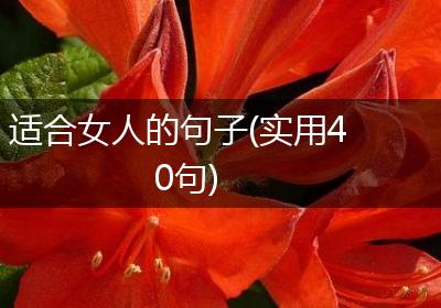 适合女人的句子(实用40句)