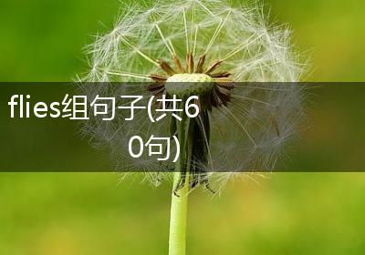 flies组句子(共60句)