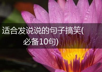 适合发说说的句子搞笑(必备10句)