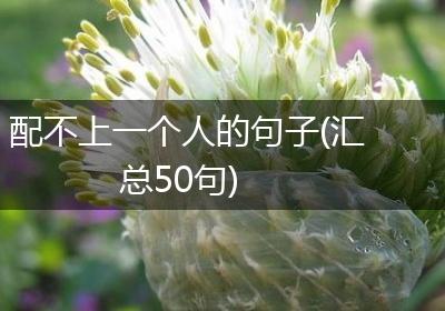 配不上一个人的句子(汇总50句)