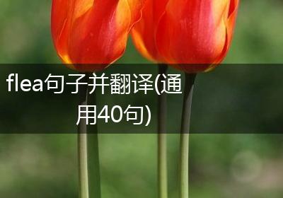 flea句子并翻译(通用40句)