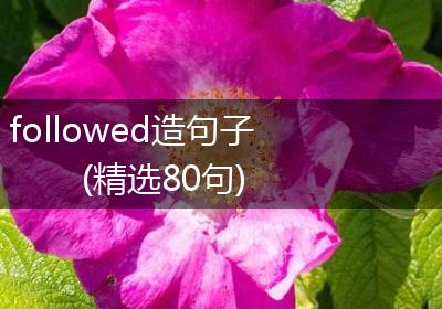followed造句子(精选80句)