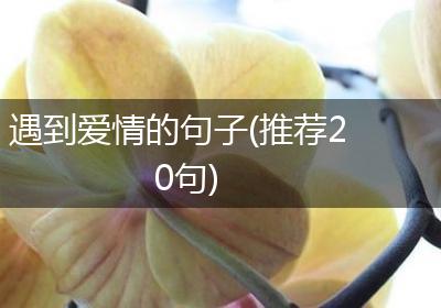 遇到爱情的句子(推荐20句)