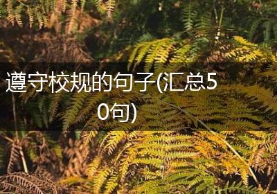 遵守校规的句子(汇总50句)