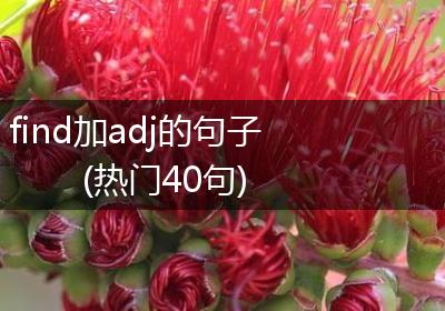find加adj的句子(热门40句)