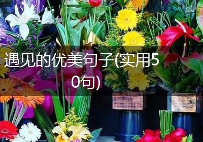 遇见的优美句子(实用50句)