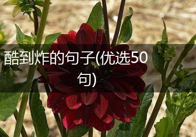 酷到炸的句子(优选50句)