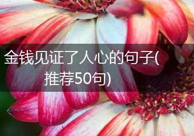金钱见证了人心的句子(推荐50句)