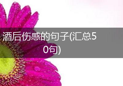 酒后伤感的句子(汇总50句)
