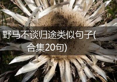 野马不谈归途类似句子(合集20句)