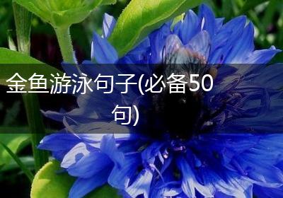 金鱼游泳句子(必备50句)