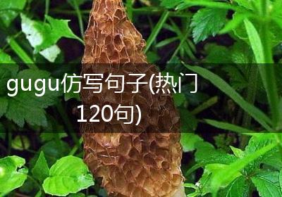 gugu仿写句子(热门120句)
