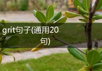 grit句子(通用20句)