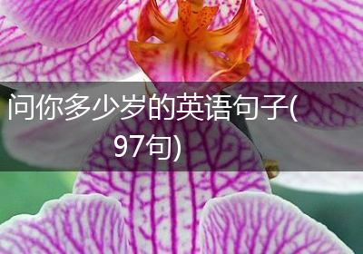 问你多少岁的英语句子(97句)