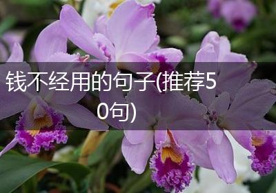 钱不经用的句子(推荐50句)
