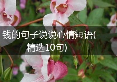 钱的句子说说心情短语(精选10句)
