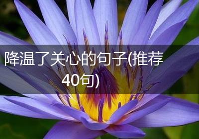 降温了关心的句子(推荐40句)