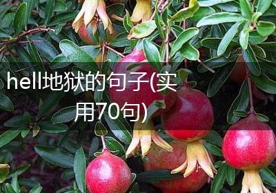 hell地狱的句子(实用70句)