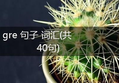gre 句子 词汇(共40句)