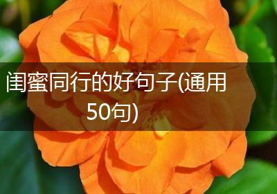 闺蜜同行的好句子(通用50句)