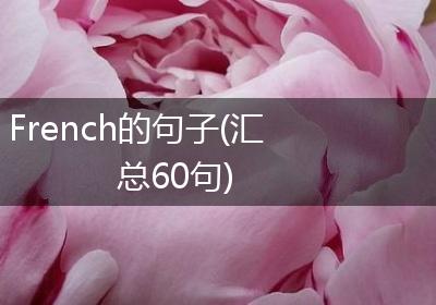 French的句子(汇总60句)