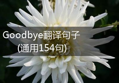 Goodbye翻译句子(通用154句)