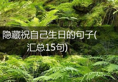 隐藏祝自己生日的句子(汇总15句)
