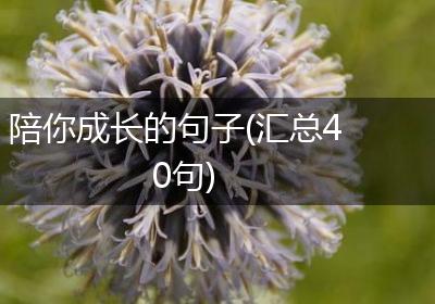 陪你成长的句子(汇总40句)