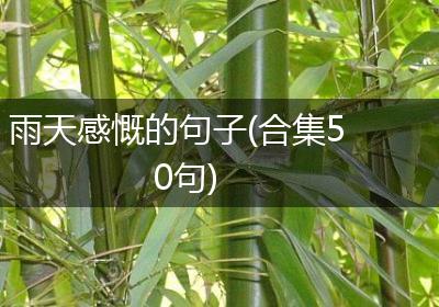 雨天感慨的句子(合集50句)