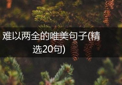 难以两全的唯美句子(精选20句)