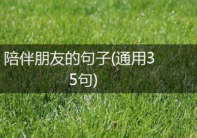 陪伴朋友的句子(通用35句)