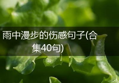雨中漫步的伤感句子(合集40句)