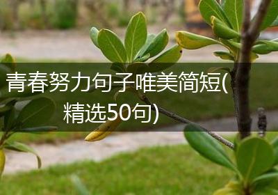 青春努力句子唯美简短(精选50句)