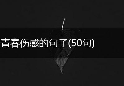 青春伤感的句子(50句)
