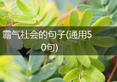 霸气社会的句子(通用50句)