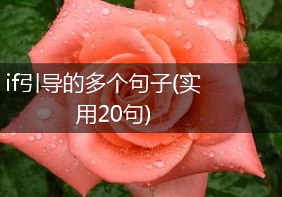 if引导的多个句子(实用20句)