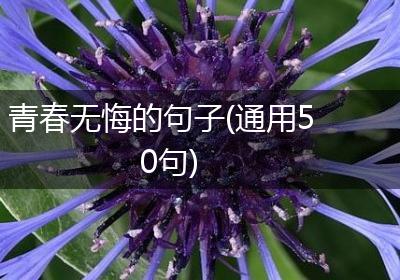 青春无悔的句子(通用50句)