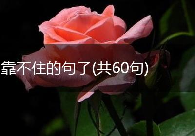 靠不住的句子(共60句)