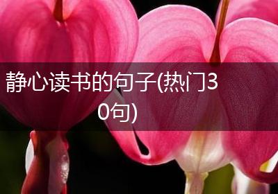 静心读书的句子(热门30句)