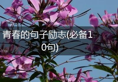 青春的句子励志(必备10句)