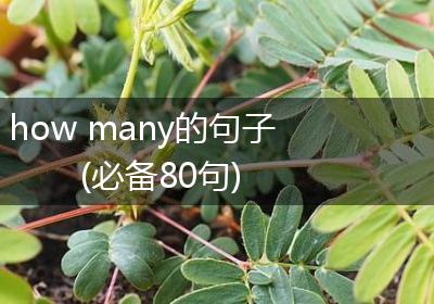 how many的句子(必备80句)