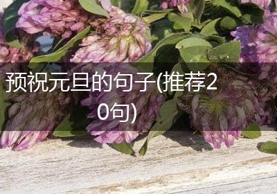 预祝元旦的句子(推荐20句)