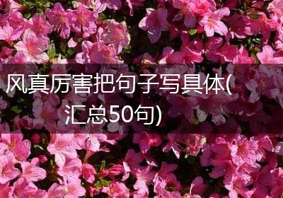 风真厉害把句子写具体(汇总50句)