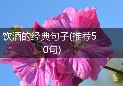 饮酒的经典句子(推荐50句)