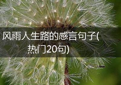 风雨人生路的感言句子(热门20句)