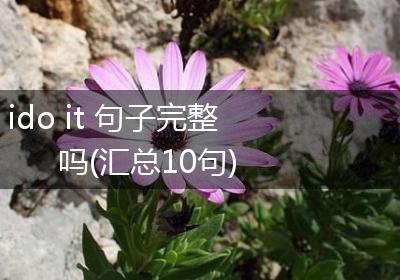 ido it 句子完整吗(汇总10句)