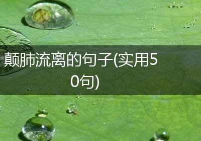颠肺流离的句子(实用50句)