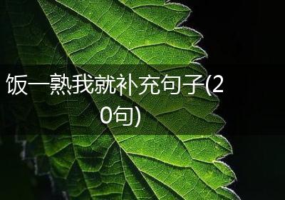 饭一熟我就补充句子(20句)