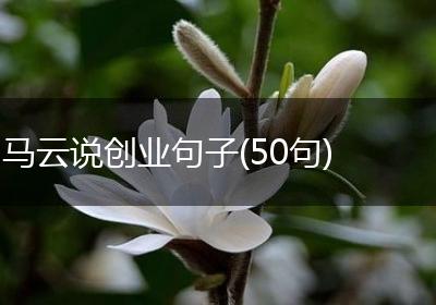 马云说创业句子(50句)